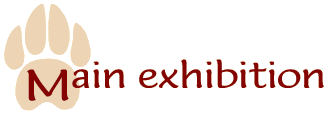 Main exhibition