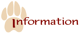 Information