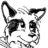 StormVic.gif