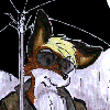 Umbrella.gif